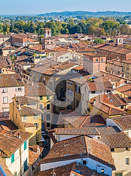 Panoramic sight in Lucca with Santa Maria Forisportamth Church. Tuscany, Italy.
