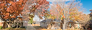 Panoramic single story bungalow houses in suburbs of Dallas with bright fall foliage colors