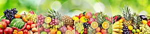 Panoramic skinali from bright fresh vegetables, fruits, berries on green blurred background