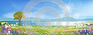 Panoramic of spring village with lake view and mountains with blue sky,Vector cartoon Spring landscape, Panorama countryside in