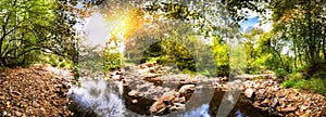 Panoramic summer landscape with forest stream