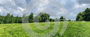 Panoramic summer landscape of meadow with trees in the cloudy day