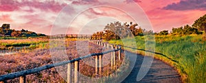 Panoramic summer view of Giardino Botanico Litoraneo di Porto Caleri - Botanical garden