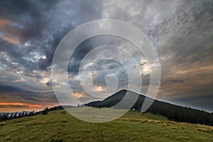 Panoramic summer view, green grassy valley on distant woody mountains background under cloudy sky