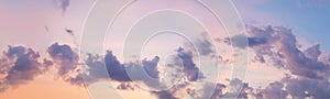 Panoramic sunset sky. Clouds on sky background