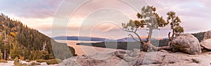 Panoramic sunset view over a tree growing from the rock at Emerald Bay State Park Lookout in Lake Tahoe