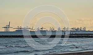 panoramic sunset view port in the harbor cranes transport From the beach