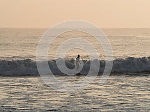 Panoramic sunset view of surfer riding a wave at Huanchaco beach pacific ocean sea Trujillo Peru South America