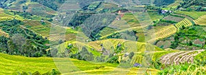 Panoramic terracing grain season in highlands Yen Bai, Vietnam photo