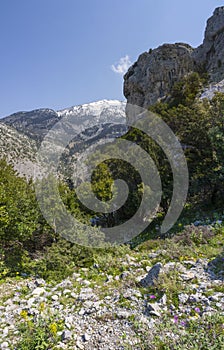 Panoramic top view of the island of Evia in the Dirfys mountains on a sunny day in Greece