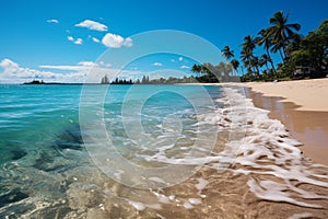 Panoramic tropical beach, golden sand, palm trees, turquoise sea, blue sky