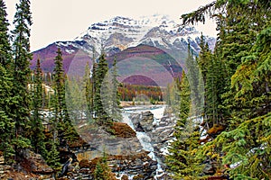 Bright Day At Athabasca Falls