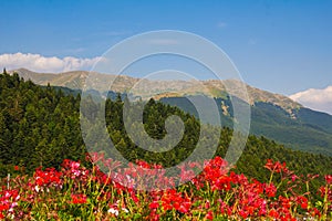 Panoramic view of Abetone in Tuscany photo