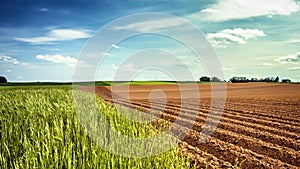 Panoramic view of agricultural fields, slider shot