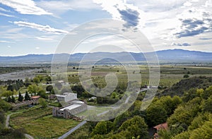 Panoramic view of the Alazani valley with vineyards. Kakheti region, Georgia