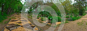 Panoramic view of the alleys of the De la Charme botanical garden