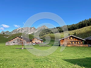 Panoramic view of Alpe Laguz, Vorarlberg, Austria.