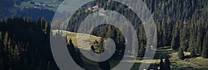 Panoramic View of an Alpine Forest Hill Slope