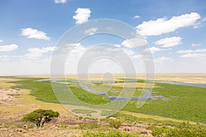 Panoramic view of Amboseli national park, wildlife conservation area in Kenya.