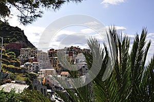 Panoramic view architecture of Manarola Village from Cinque Terre National Park in Italy