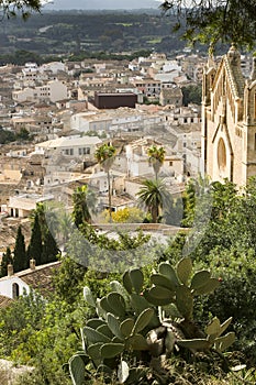 Panoramic view of Arta.