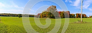 Panoramic view of Autumn trees in the green meadow near Petoskey, Michigan photo