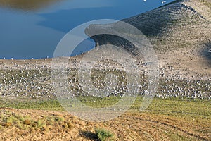 Panoramic view of the Azat reservoir in Armenia