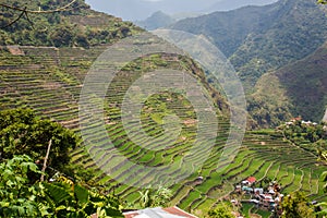 Panoramic view of the Batad rice field terraces in Ifugao province, Banaue, Philippines