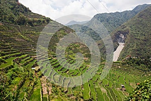 Panoramic view of the Batad rice field terraces, Ifugao province, Banaue, Philippines