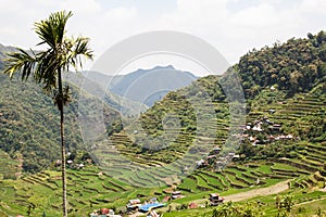 Panoramic view of the Batad rice field terraces, Ifugao province, Banaue, Philippines