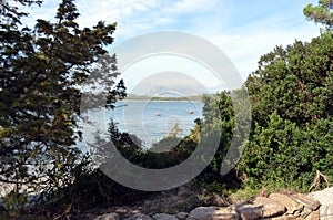 Panoramic view of the beach and crystal sea of Sardinia