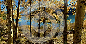 Panoramic view of Beautiful fall colours with beautiful lake in the background