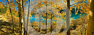 Panoramic view of Beautiful fall colours with beautiful lake in the background