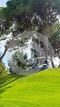 Panoramic view of beautiful golf course with buggy and pines on sunny day. Golf field with fairway, lake and pine-trees