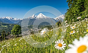 Panorámico de hermoso en bávaros Alpes hermoso flores a famoso montana 