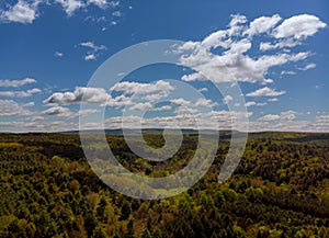 Panoramic view of beautiful landscape in the fresh green forest and a sunny day with blue sky and clouds in springtime