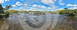 Panoramic view of beautiful river with rocky bed surrounded by araucaria forests