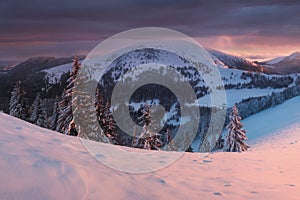 Panoramic view of beautiful winter wonderland mountain scenery in evening light at sunset. Mountains above the clouds. Christmas