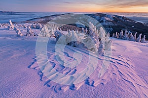 Panoramic view of beautiful winter wonderland mountain scenery in evening light at sunset. Mountains above the clouds. Christmas