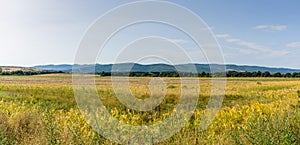 Panoramic view of the beveled fields.