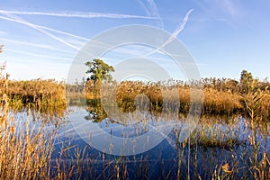 Panoramic view of a bird observatory, in the wetlands natural park La Marjal in Pego and Oliva