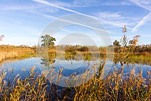 Panoramic view of a bird observatory, in the wetlands natural park La Marjal in Pego and Oliva