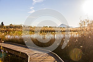 Panoramic view of a bird observatory, in the wetlands natural park La Marjal in Pego and Oliva