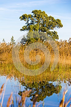 Panoramic view of a bird observatory, in the wetlands natural park La Marjal in Pego and Oliva