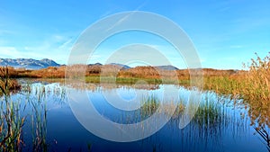 Panoramic view of a bird observatory, in the wetlands natural park La Marjal in Pego and Oliva