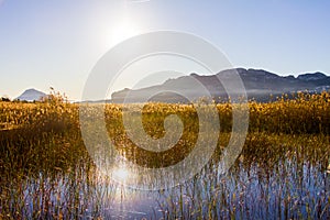 Panoramic view of a bird observatory, in the wetlands natural park La Marjal in Pego and Oliva, Spain