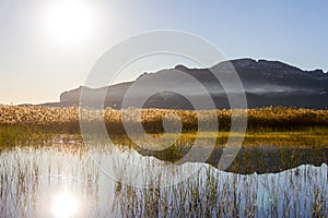 Panoramic view of a bird observatory, in the wetlands natural park La Marjal in Pego and Oliva, Spain