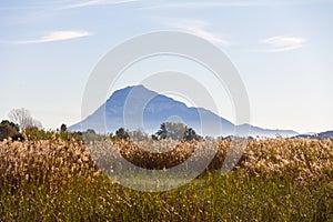 Panoramic view of a bird observatory, in the wetlands natural park La Marjal in Pego and Oliva, Spain.