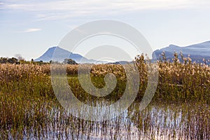 Panoramic view of a bird observatory, in the wetlands natural park La Marjal in Pego and Oliva, Spain