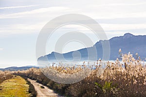 Panoramic view of a bird observatory, in the wetlands natural park La Marjal in Pego and Oliva, Spain